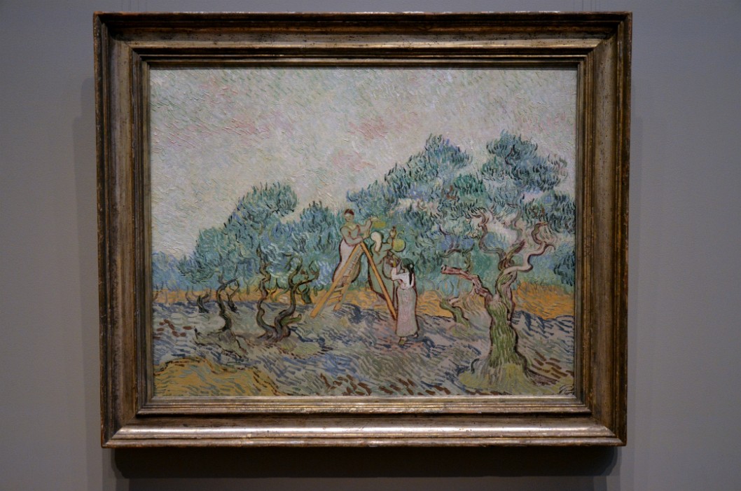The Olive Orchard By Vincent Van Gogh The Olive Orchard By Vincent Van Gogh