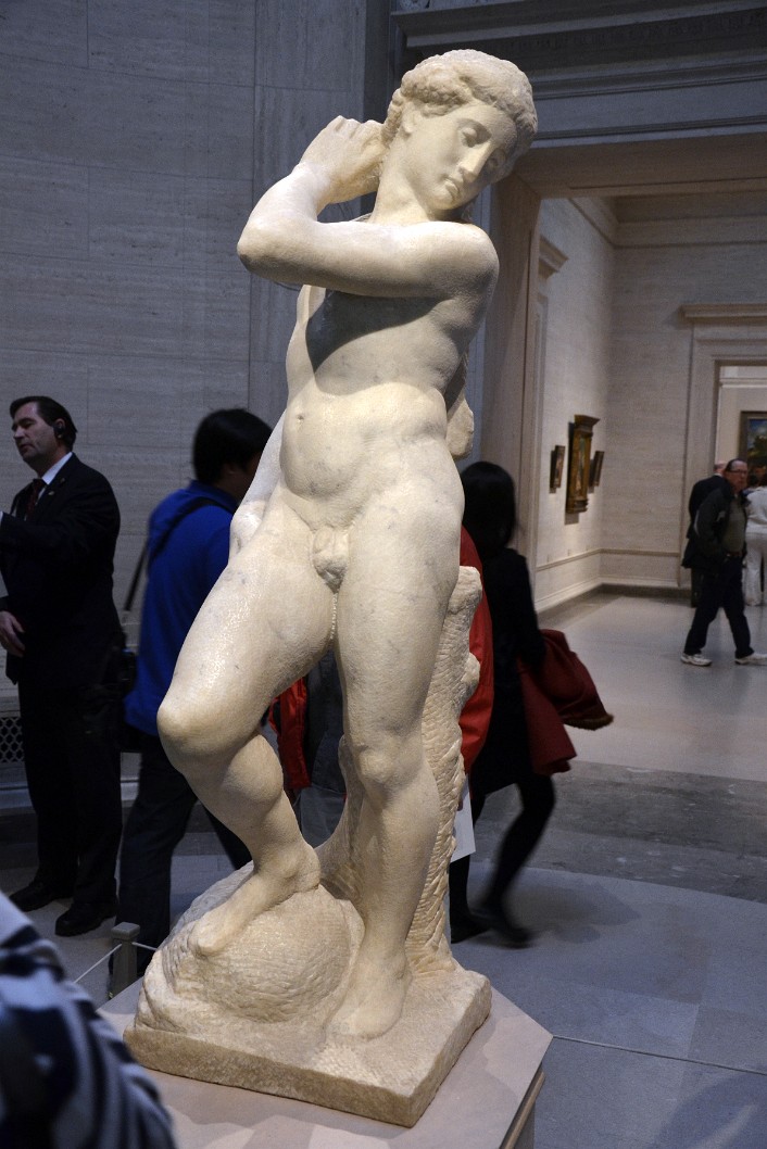David-Apollo By Michelangelo David-Apollo By Michelangelo