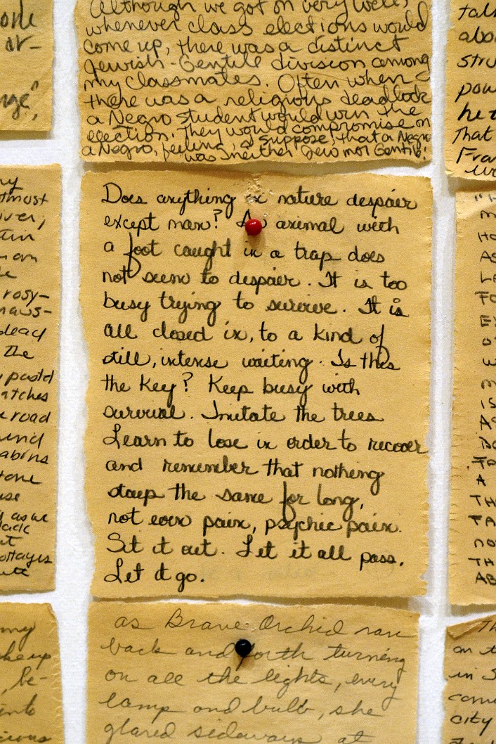 One of the Many Missives of palimpsest By Ann Hamilton and Kathryn Clark One of the Many Missives of palimpsest By Ann Hamilton and Kathryn Clark