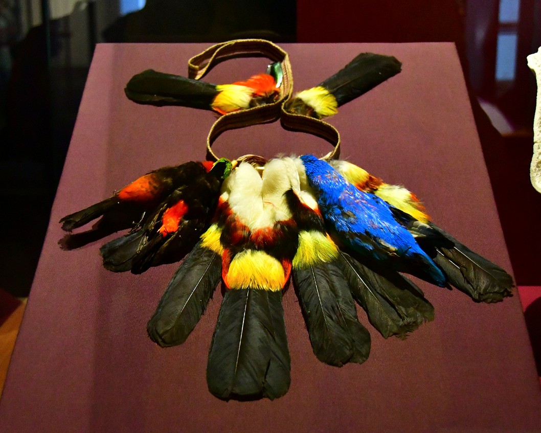 Jivaroan Bird Headdress From Ecuador