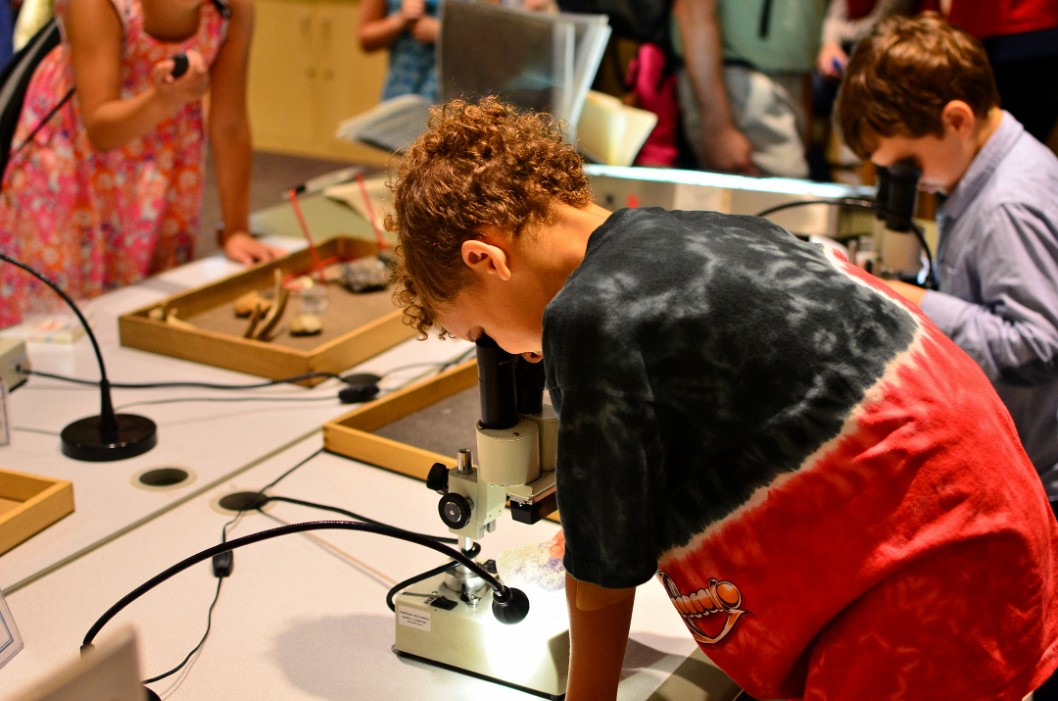 Examining the Specimens Examining the Specimens