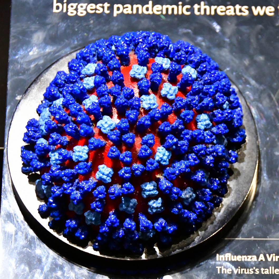 Influenza A Virus Magnified 1 Million Times