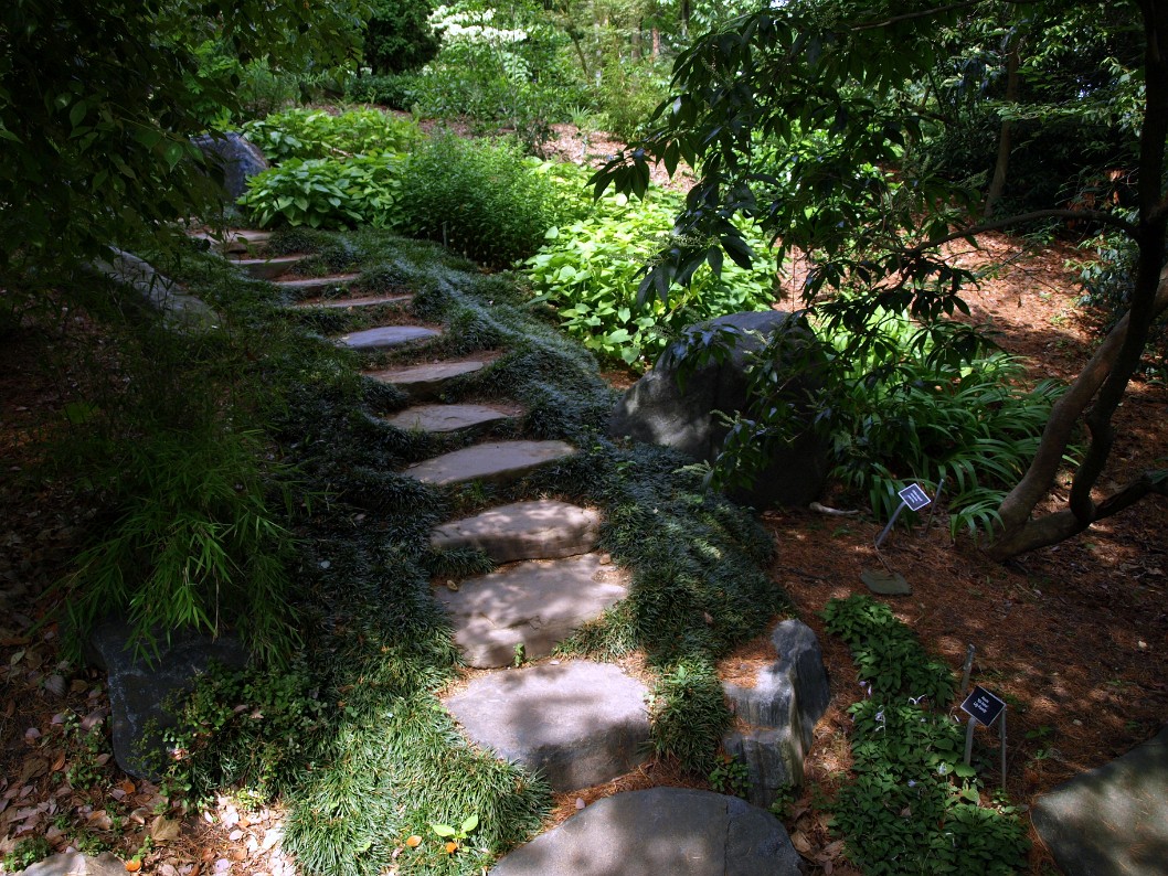 Garden Steps Garden Steps