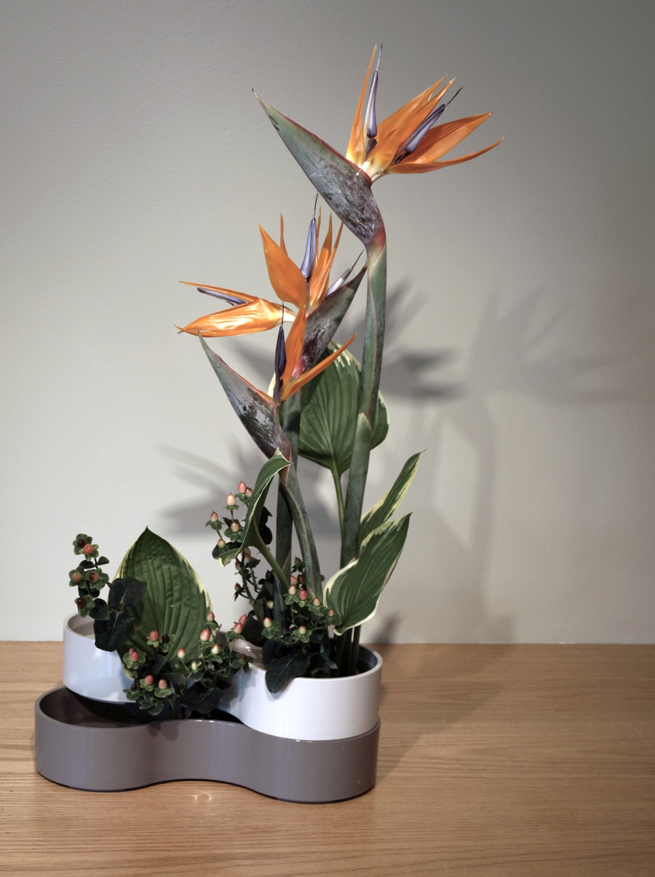 Birds of Paradise Arranged by Sandy Thomas Birds of Paradise Arranged by Sandy Thomas