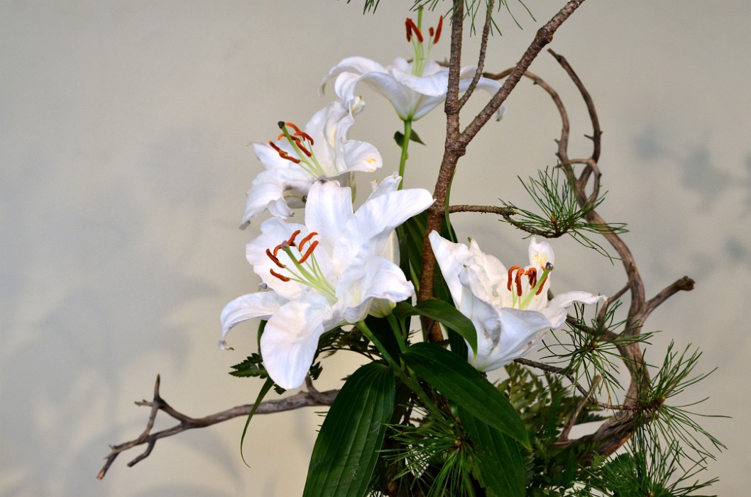 Big White Lilies Big White Lilies