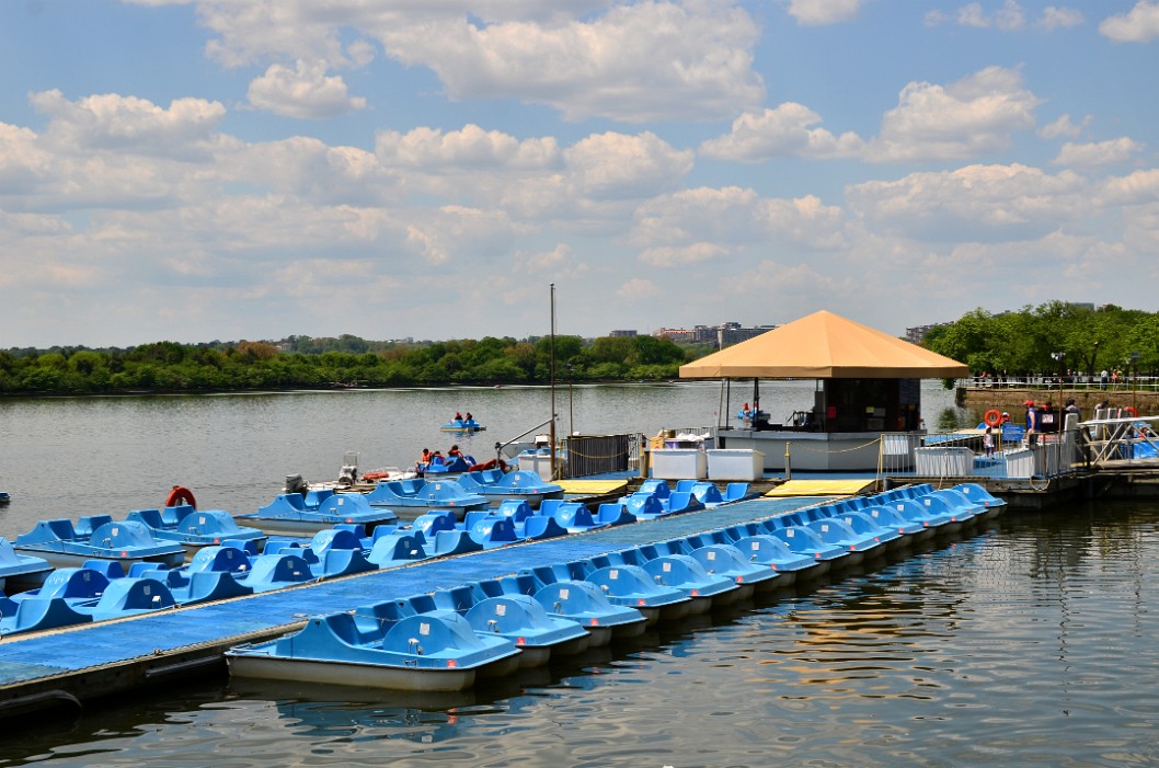 Line of Blue Paddle Boats Line of Blue Paddle Boats